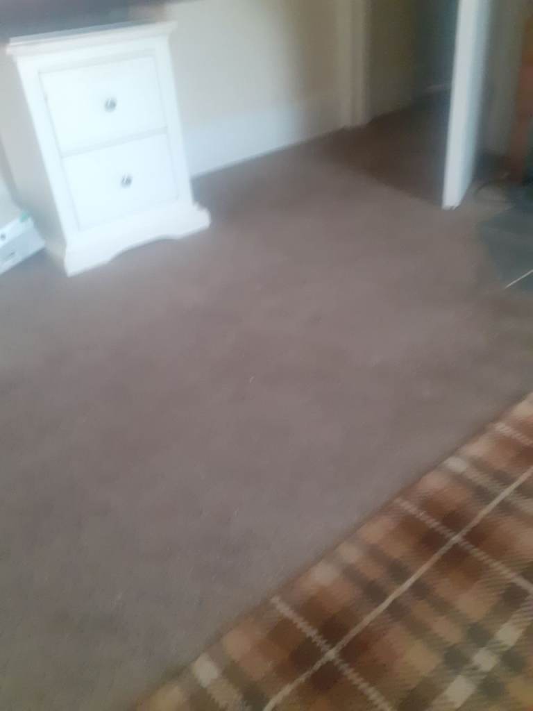 Room or 1 bed flat wanted for myself and dog in scunthorpe 