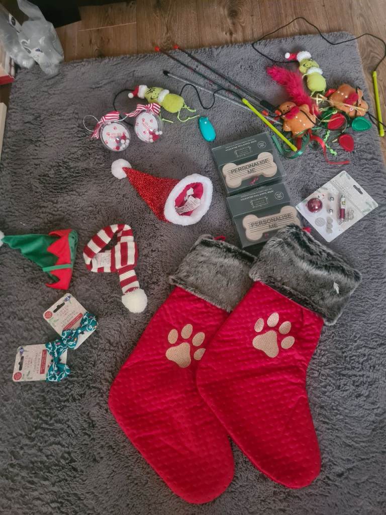 image for CHRISTMAS  CAT 