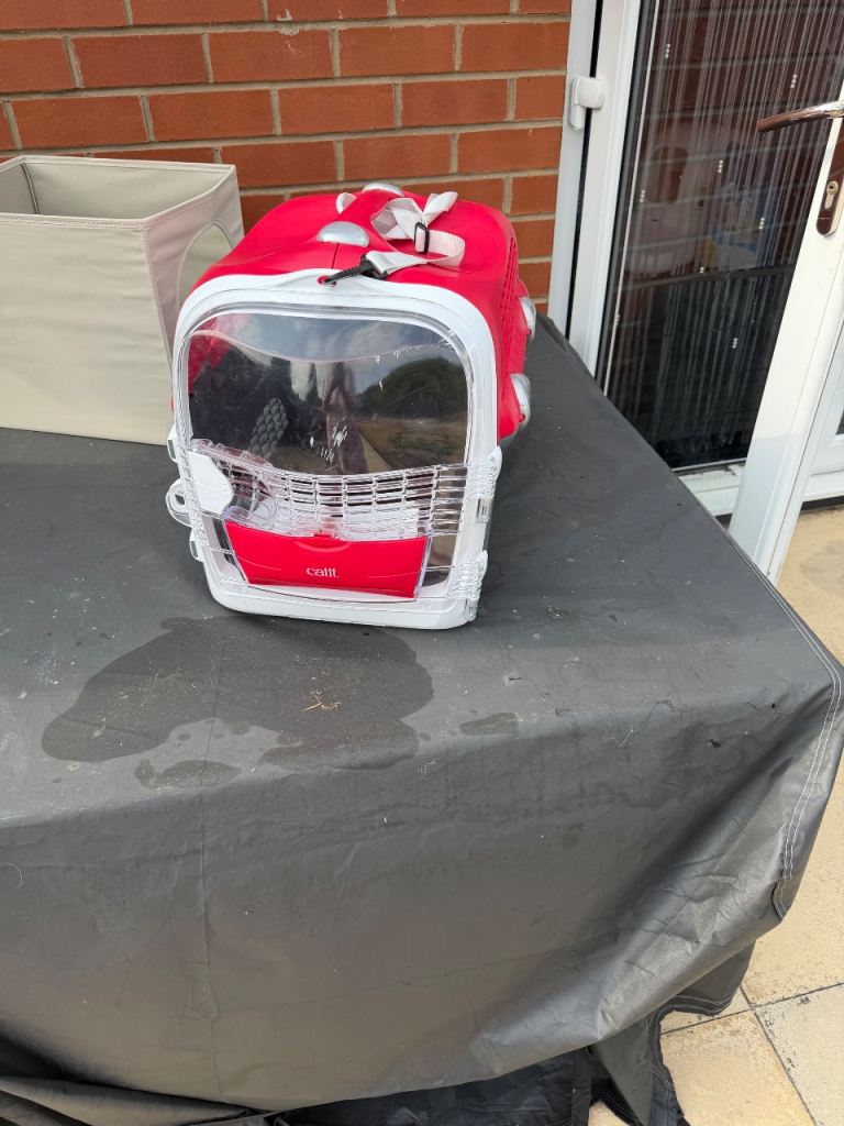 Cat carrier 