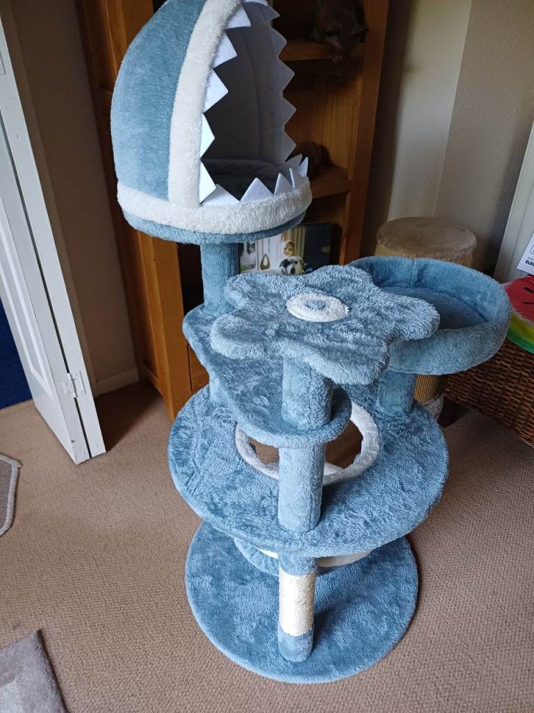 Cat scratch post