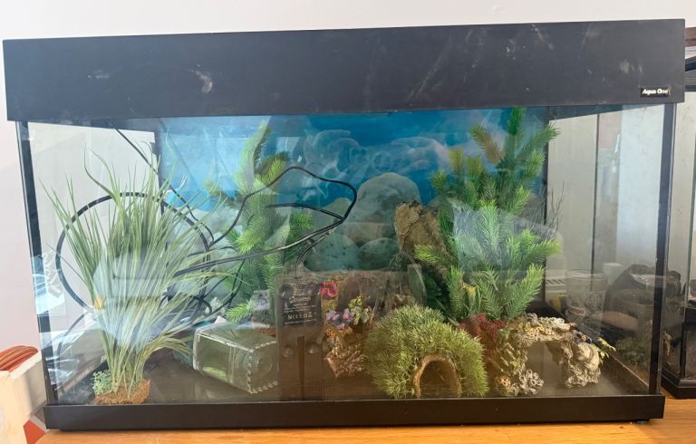 Aquarium Fish Tank with Decorations – Good Condition
