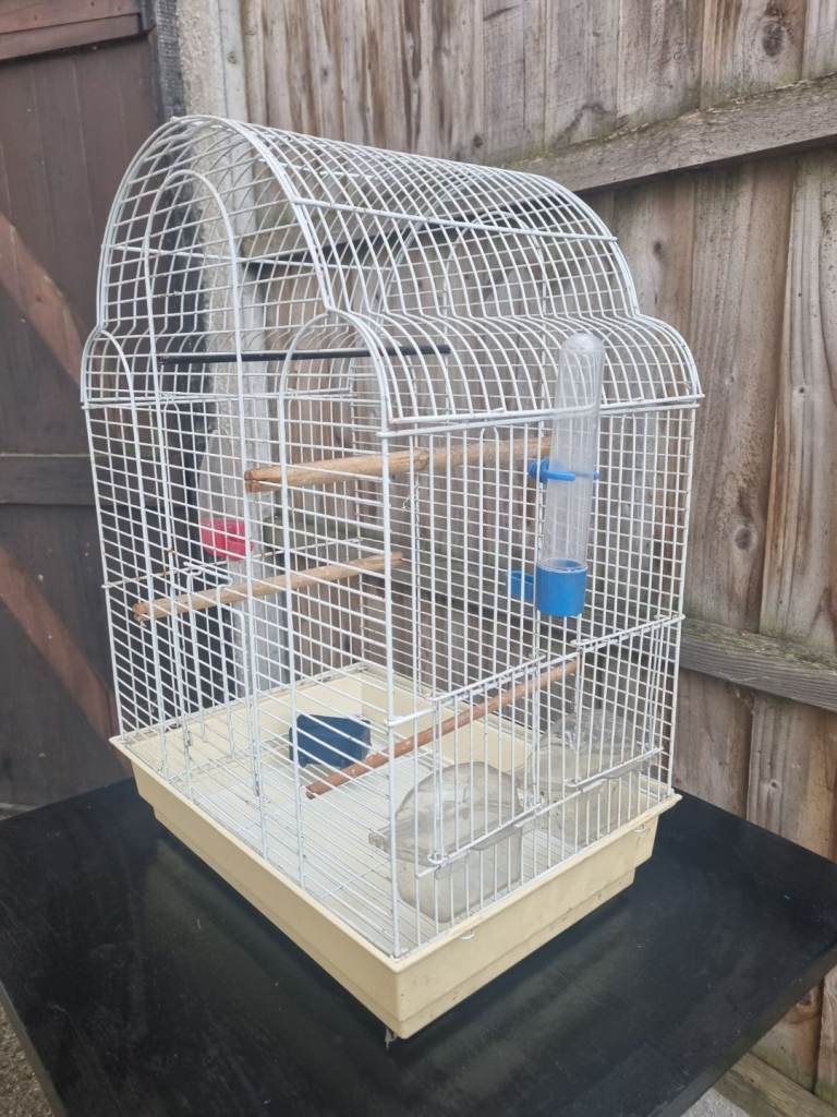 Bird cage 