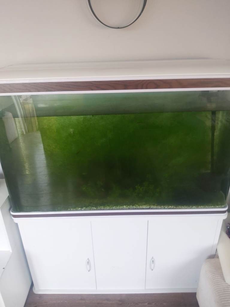 Large fish tank with stand