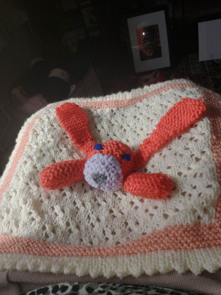 Handmade Knitted Baby Blanket with Bunny Design – As Good As New