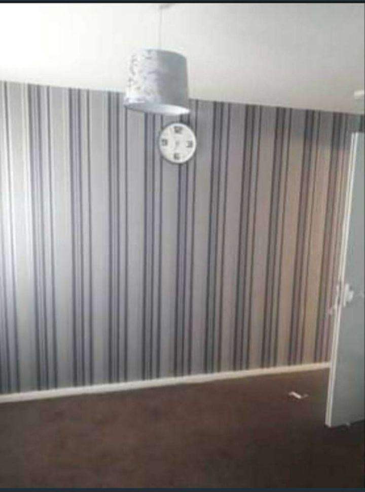 Professional Painter And Decorator 