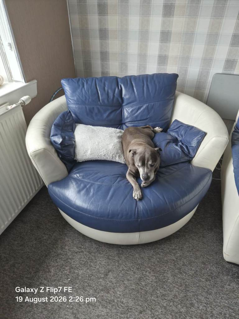 Blue and White Leather Corner Sofa and Swivel Chair – Used Condition
