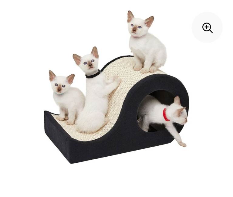 Cat scratching hideout.