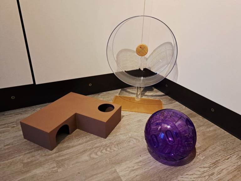 Syrian Hamster Accessories