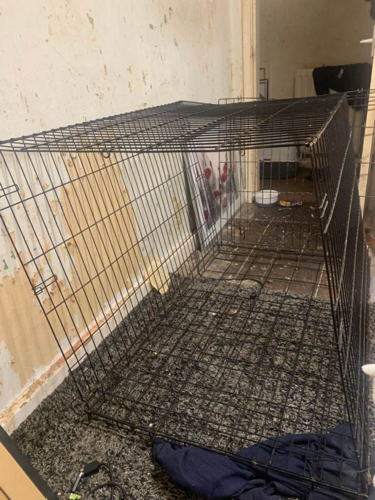 Large dog cage 