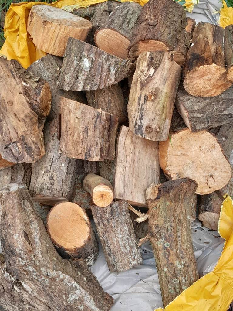 Seasoned logs 