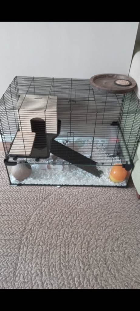 Hamster cage