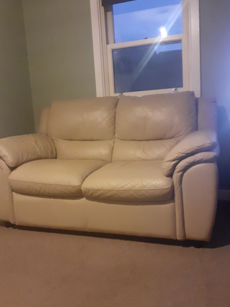 Genuine leather 2 seat leather sofa