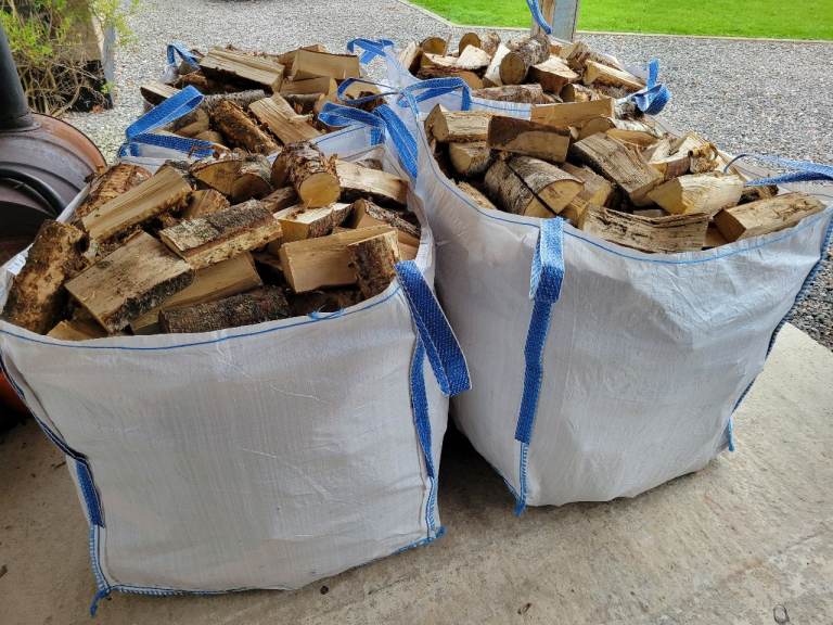 Birch Firewood 
