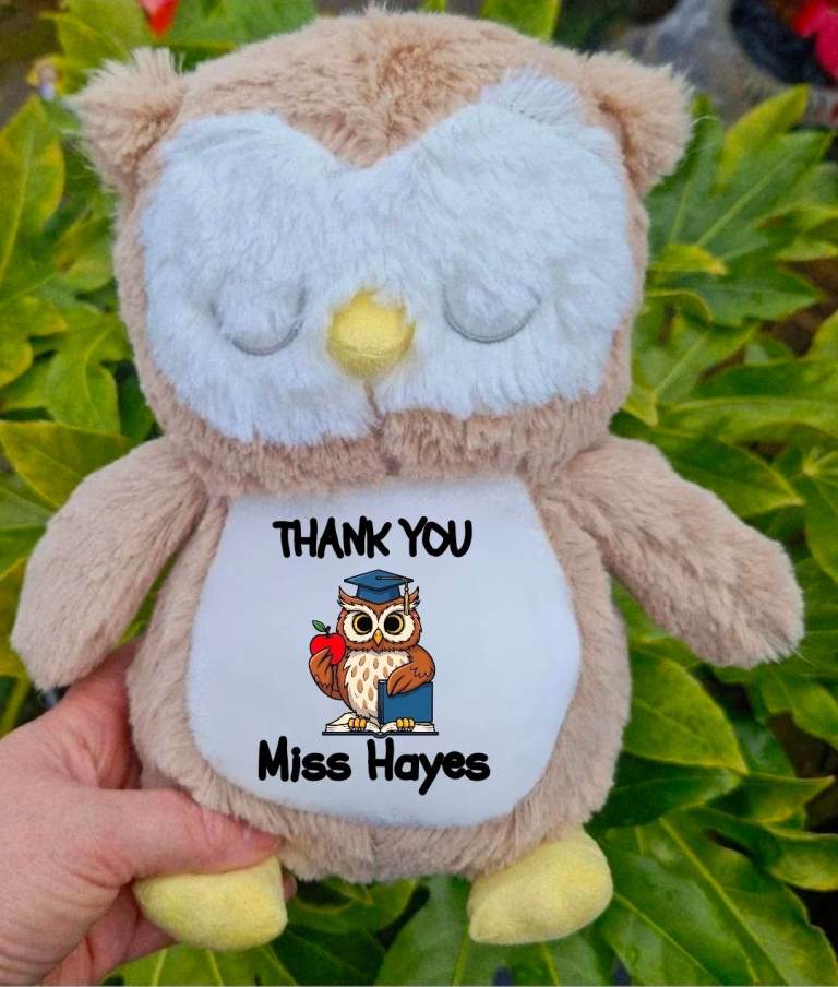 Personalised Owl Teacher Gift Thank You Nursery Graduation Thanks Collect East Kilbride