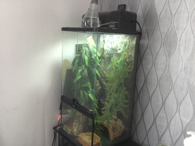 Vivarium 30x30x60
