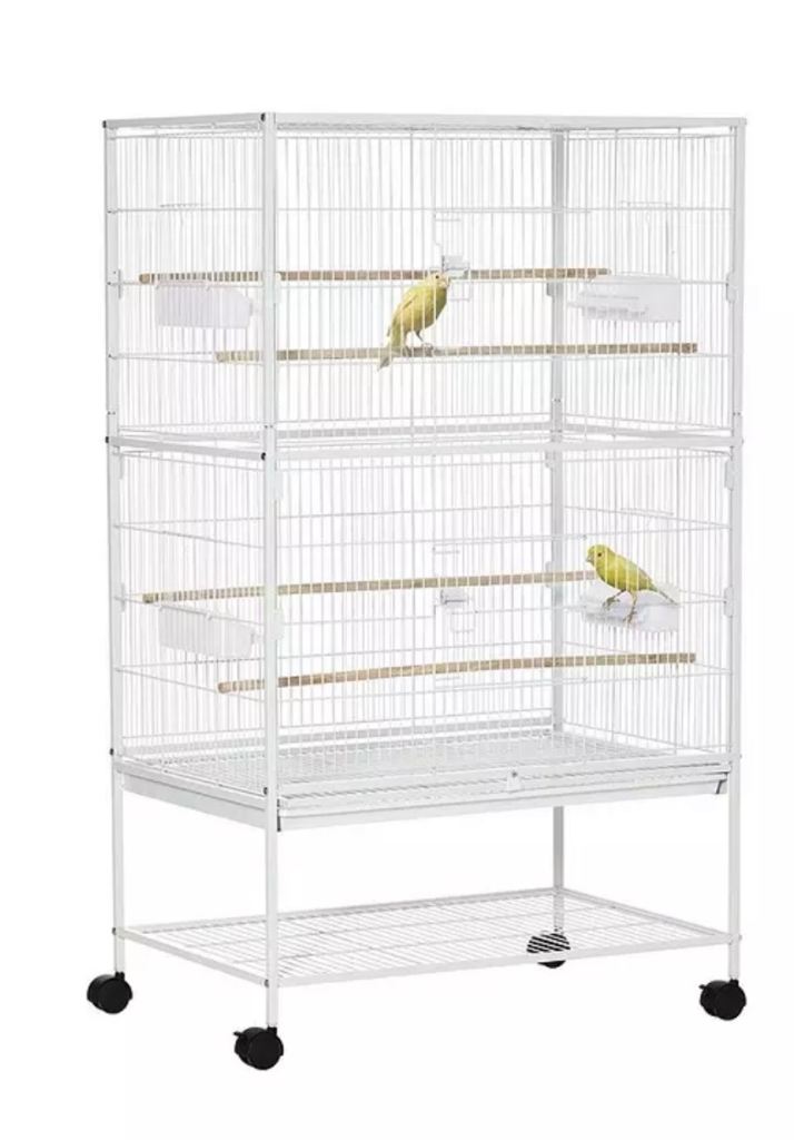 Bird cage 