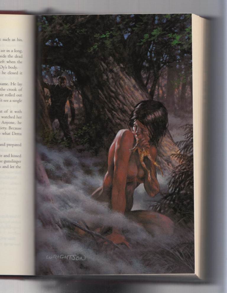 Two Stephen King Books. Wolves of the Calla, Rose Madder.