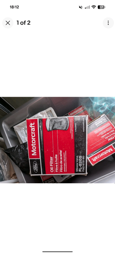 Mustang oil filters 