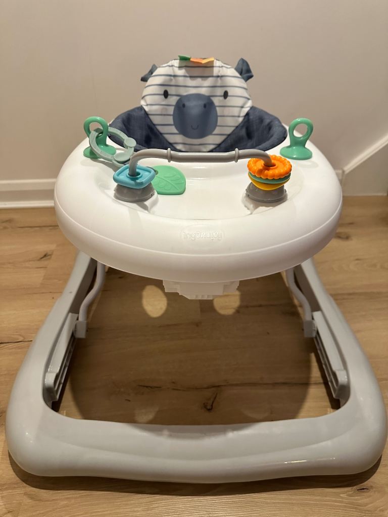 Baby Activity Walker
