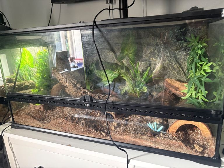 Leopard Gecko Exo Terra