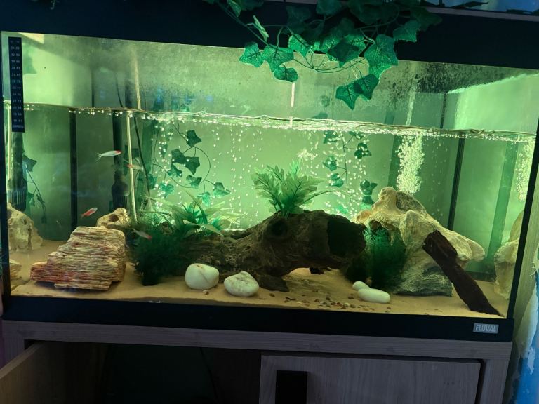 Fluval Roma 125