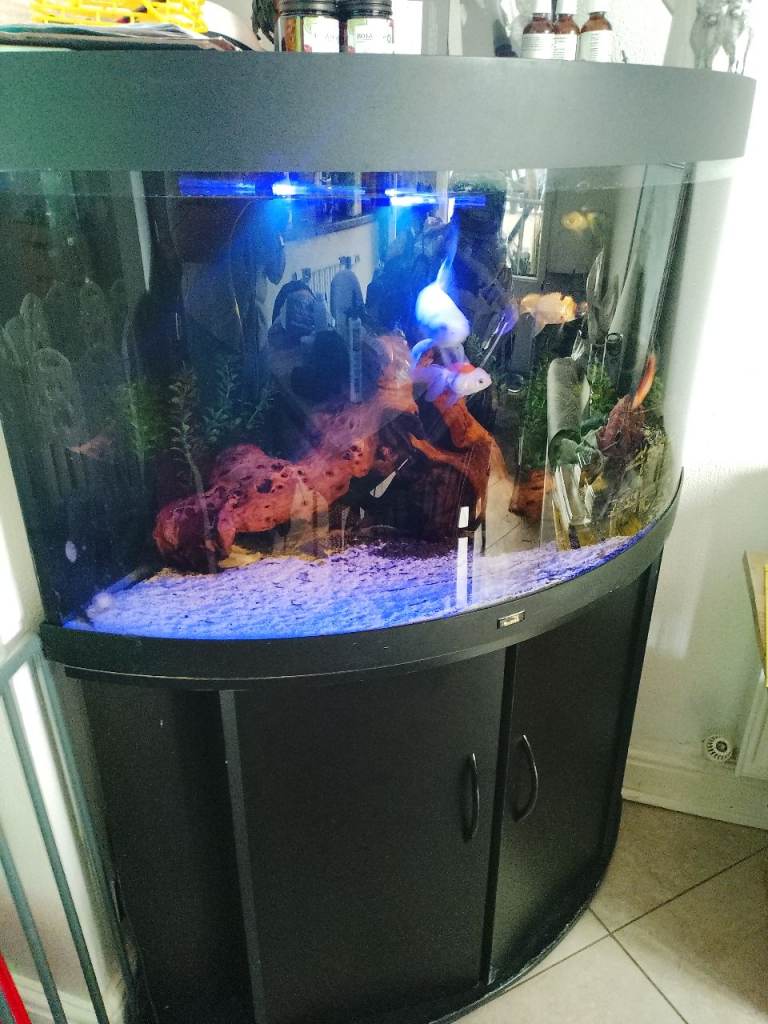 Juwel Black corner unit fish tank with cupboard 