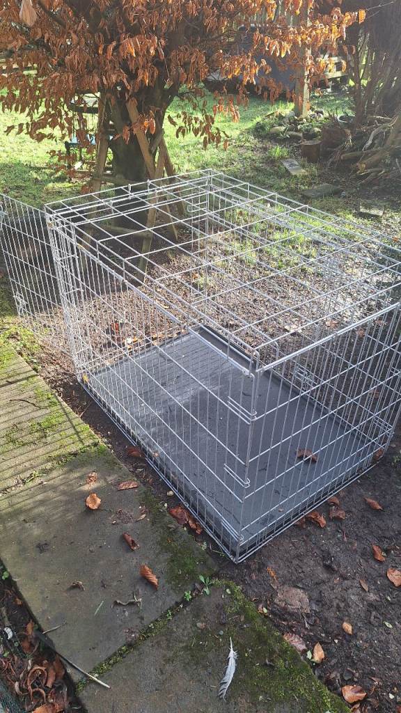 XL Dog Cage