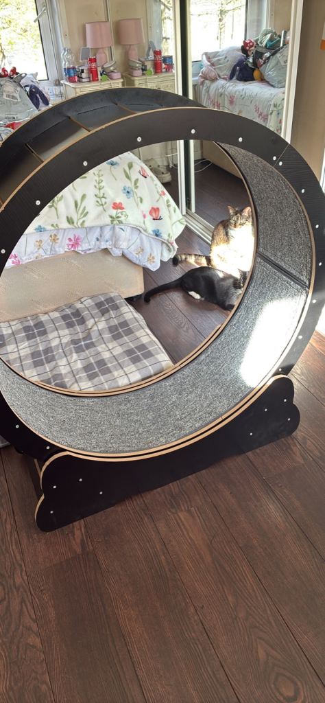 Cat wheel 