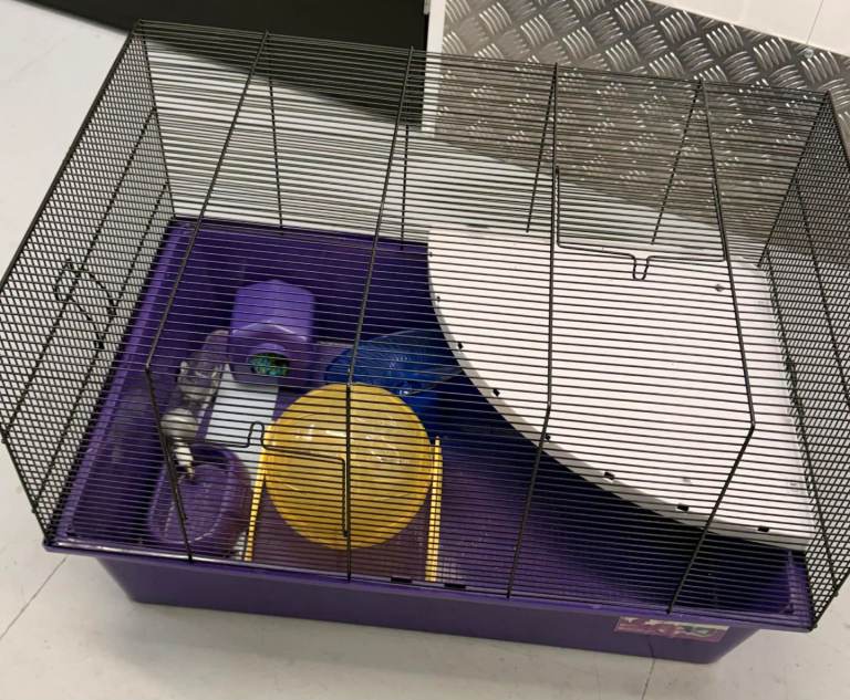 Hamster cage