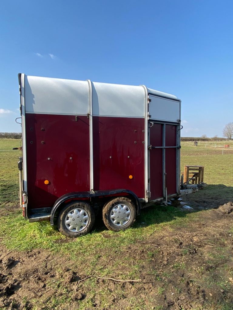 Hunter Horse Trailer Ifor Williams 