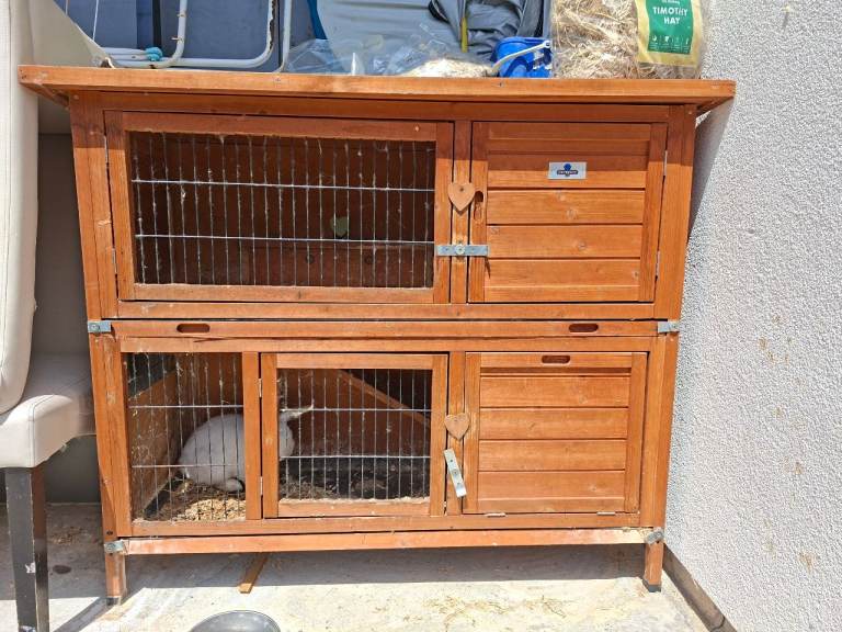 Hutch for rabbits or guinea pigs + 2 adults rabbits 