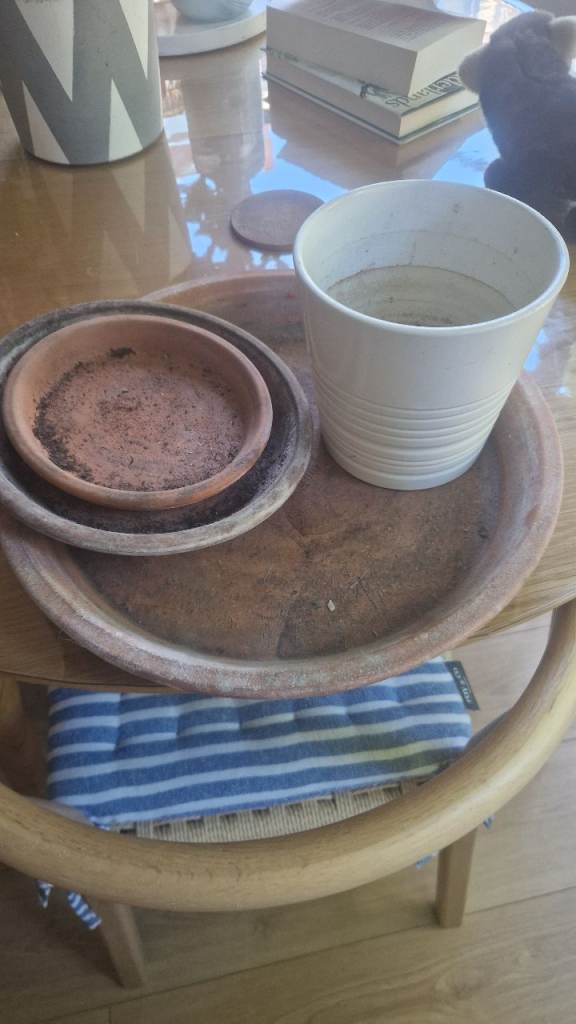 Plant pot (ikea) + 3x terracotta tray