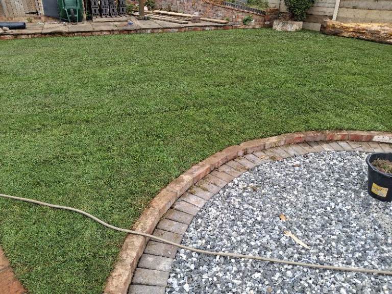 Rolawn Medallion turf 