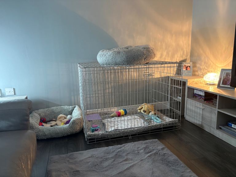 Large Dog Crate and Mat