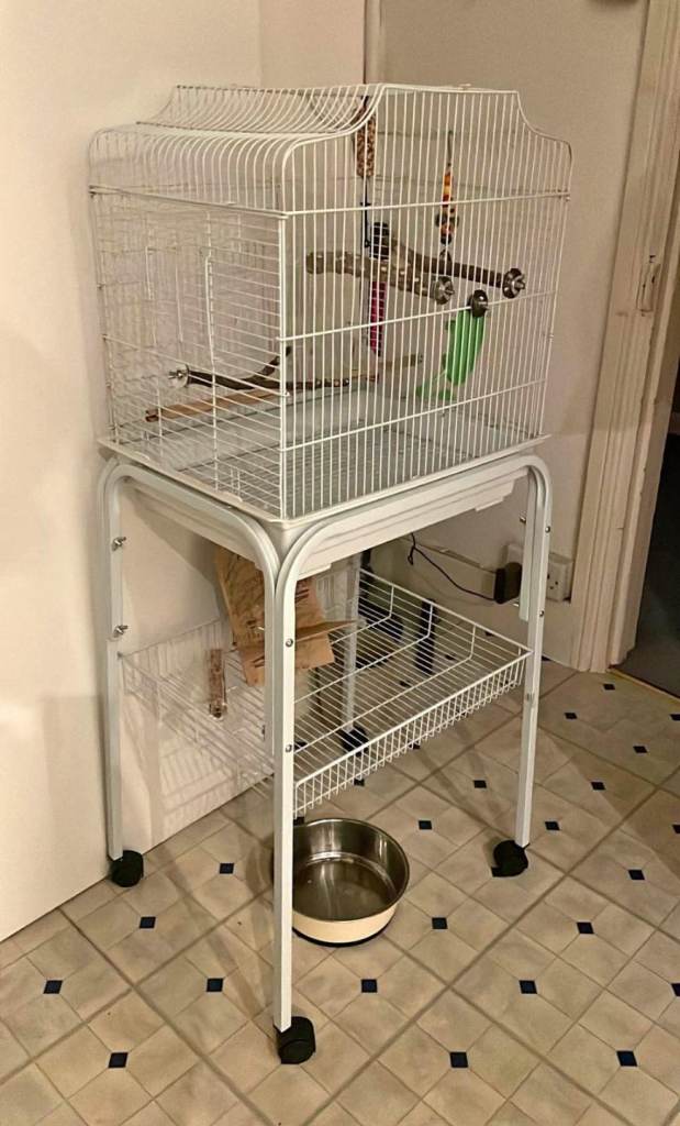 Bird cage with stand 