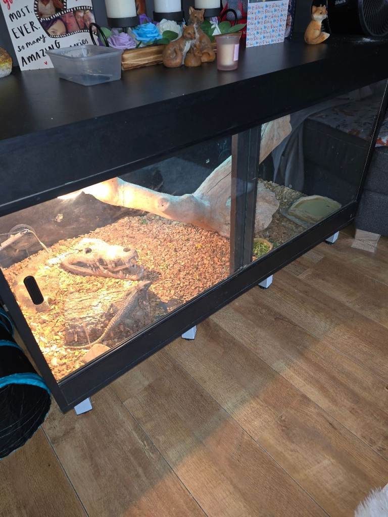 4x2x2 vivarium PENDING