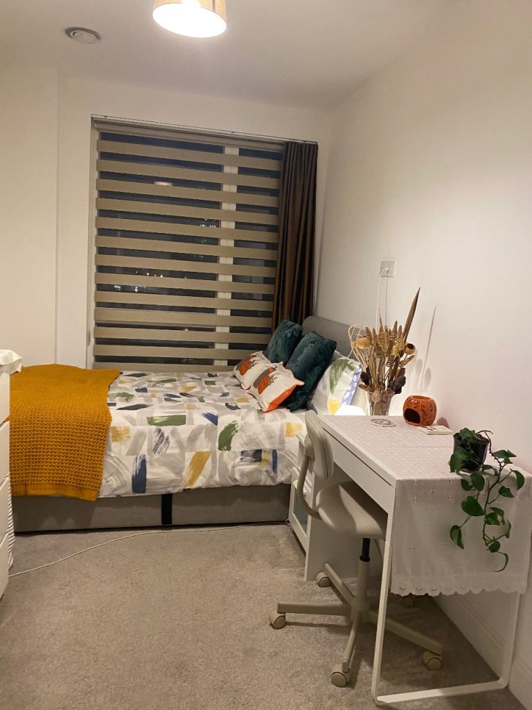 Bright, Cosy, Clean Female Flat Lewisham Station