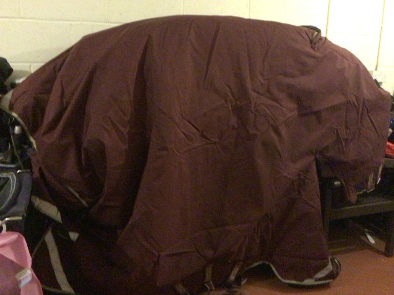 Burgundy Rambo Horse Rug