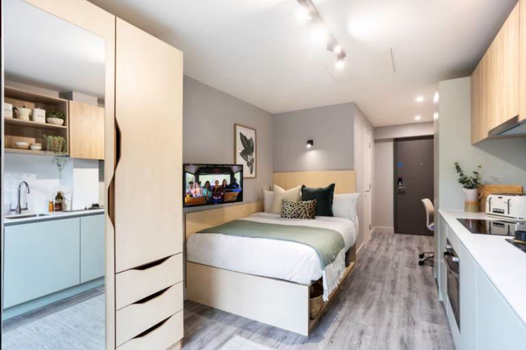 Aster House premium studio (QUB students)