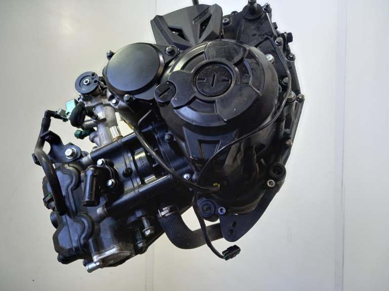 Kawasaki Ninja 125 Engine 2018-2025 0.1l Petrol