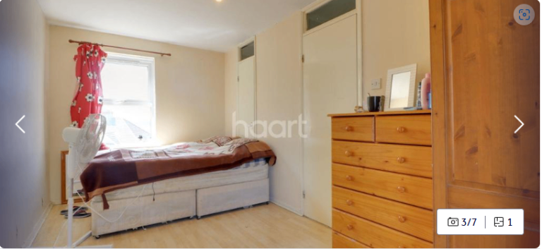 Double room for rent in a spacious vegetarian flat