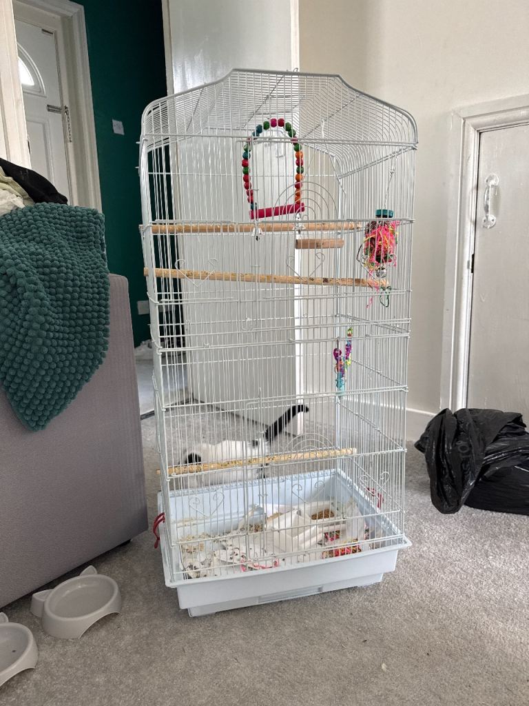 Bird cage