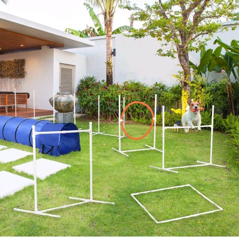Dog agility set NEW! 