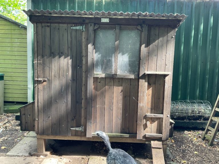Hen house/chicken coop selection 