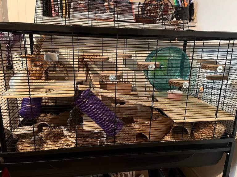 Large multi-level hamster or rat cage with plenty of accessories
