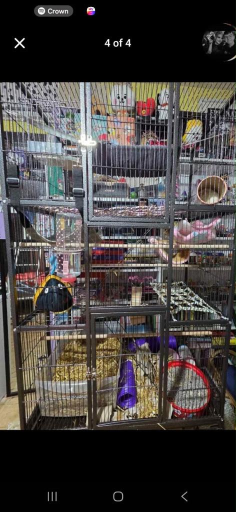 Cage for sale 