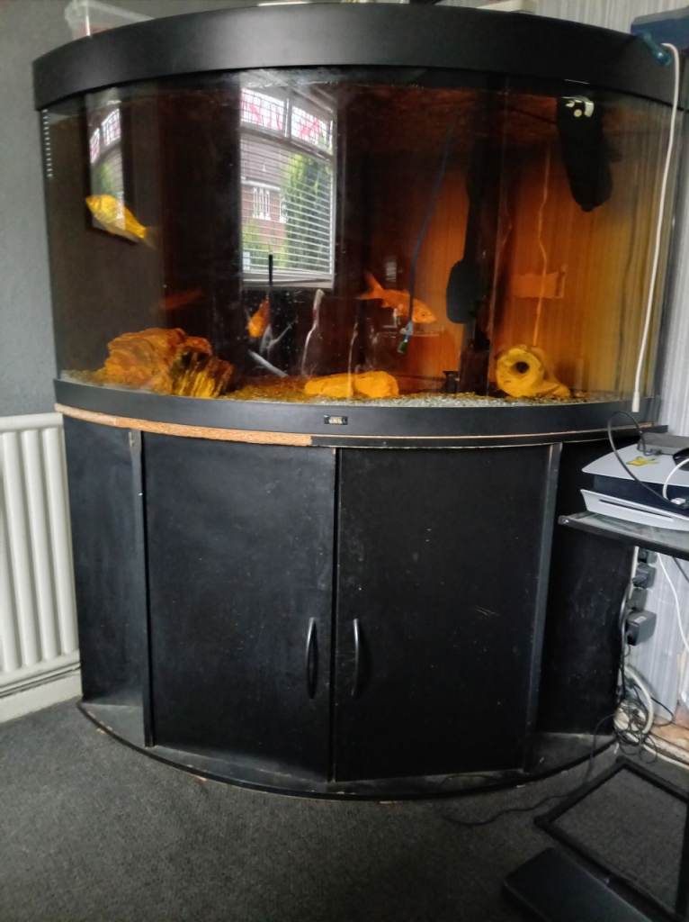 Juwel corner fish tank