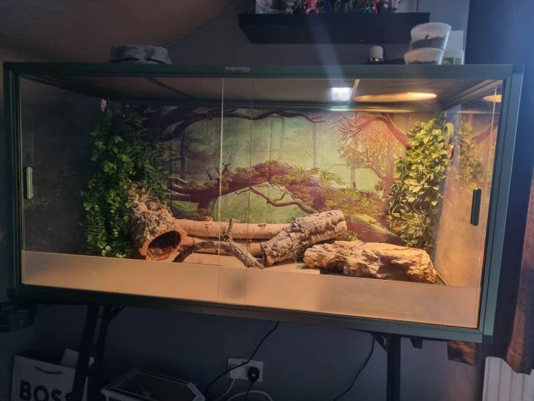 Reptile enclosure