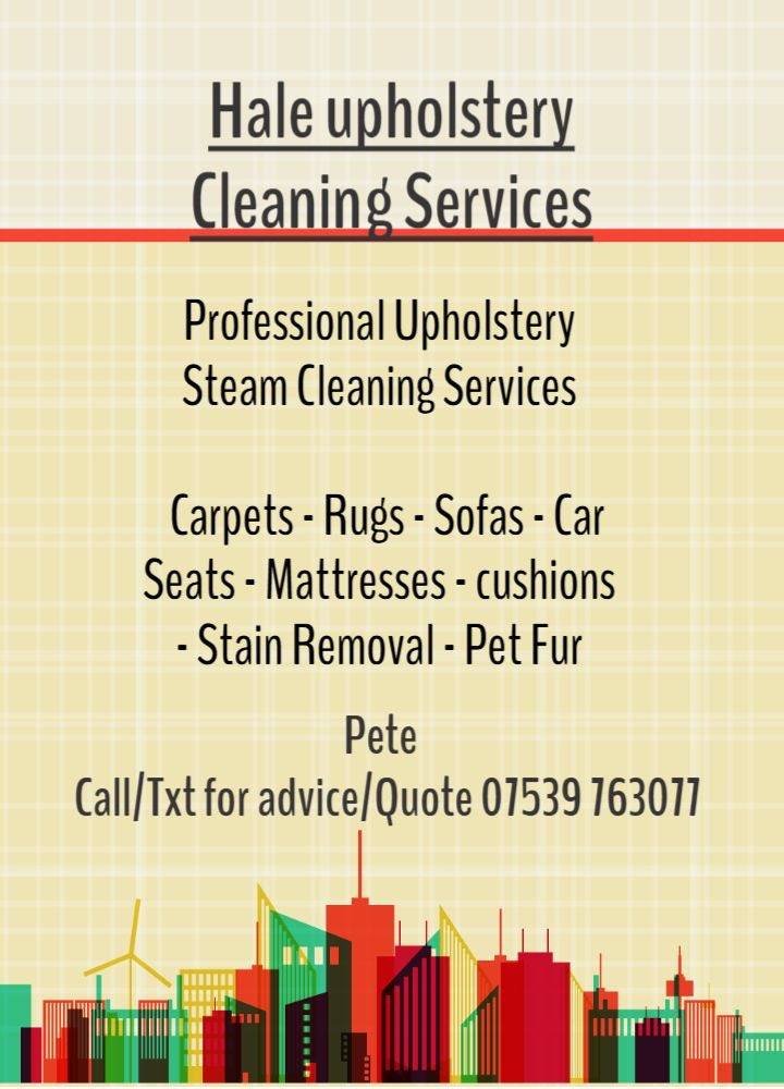 Upholstery and carpet professional cleaners