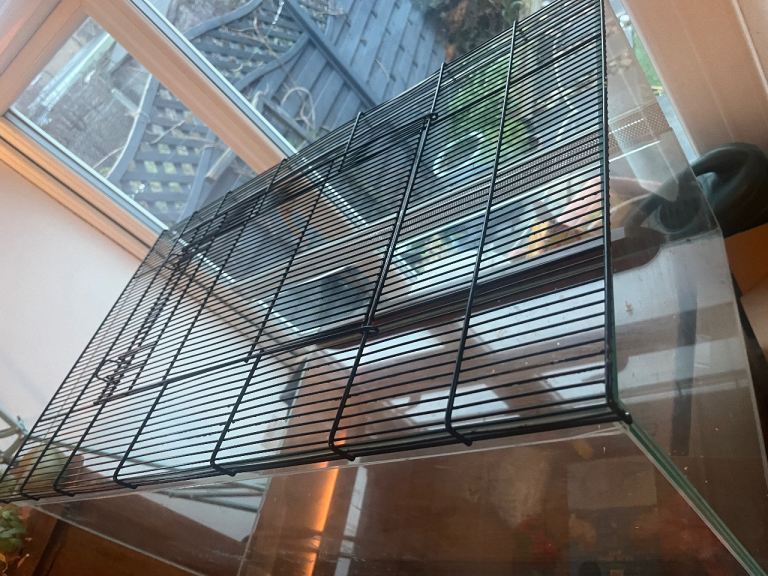 Pet tank - 75 cm long x 45 cm wide 38 cm tall